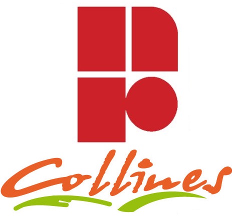 boris blais logo